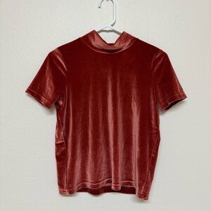 Madewell Velvet Top in Deep Rust